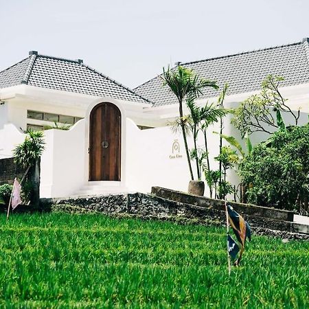 New Design Villa Casa Alma 3Bdr With Private Pool, Canggu Eksteriør billede