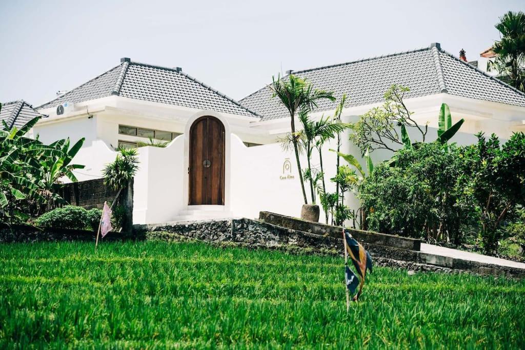 New Design Villa Casa Alma 3Bdr With Private Pool, Canggu Eksteriør billede